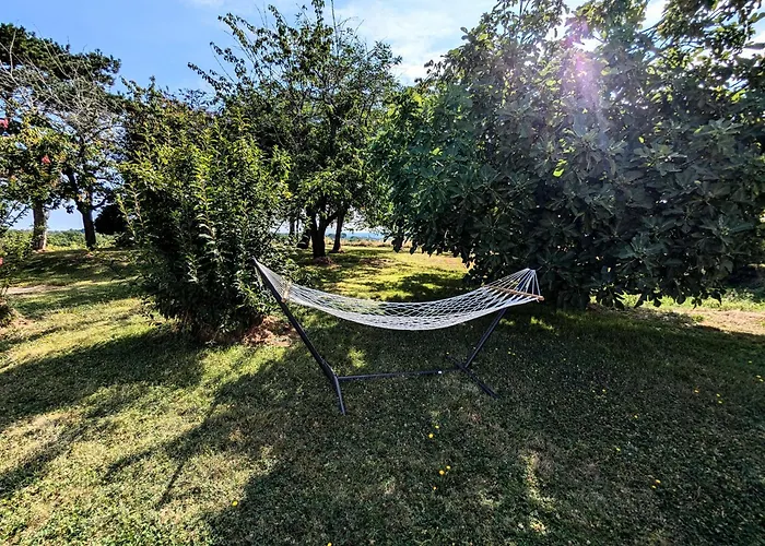 فيلة Laurca أوش